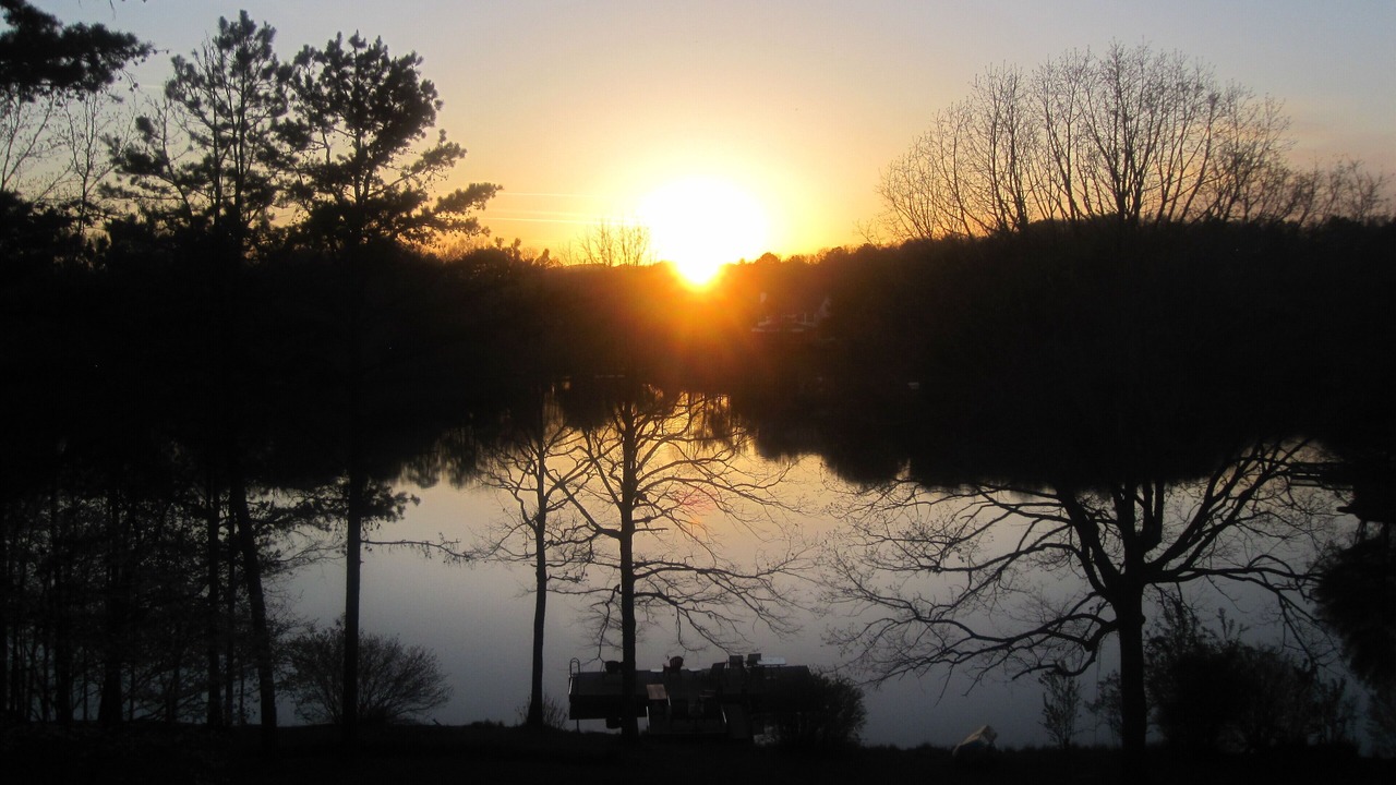 Photo of Others in Murphy