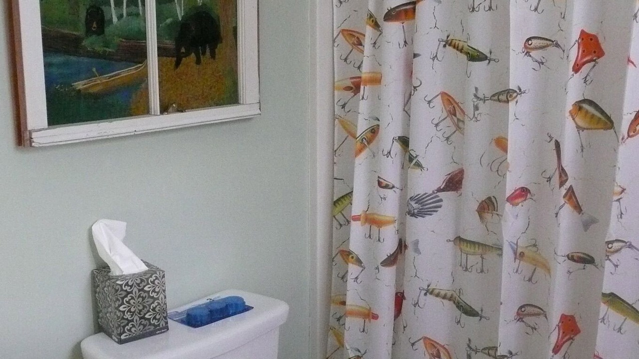 Photo of Bathroom in Murphy