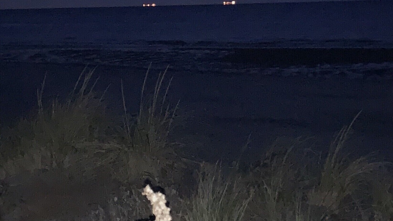 Photo of Others in Prime Hook Beach