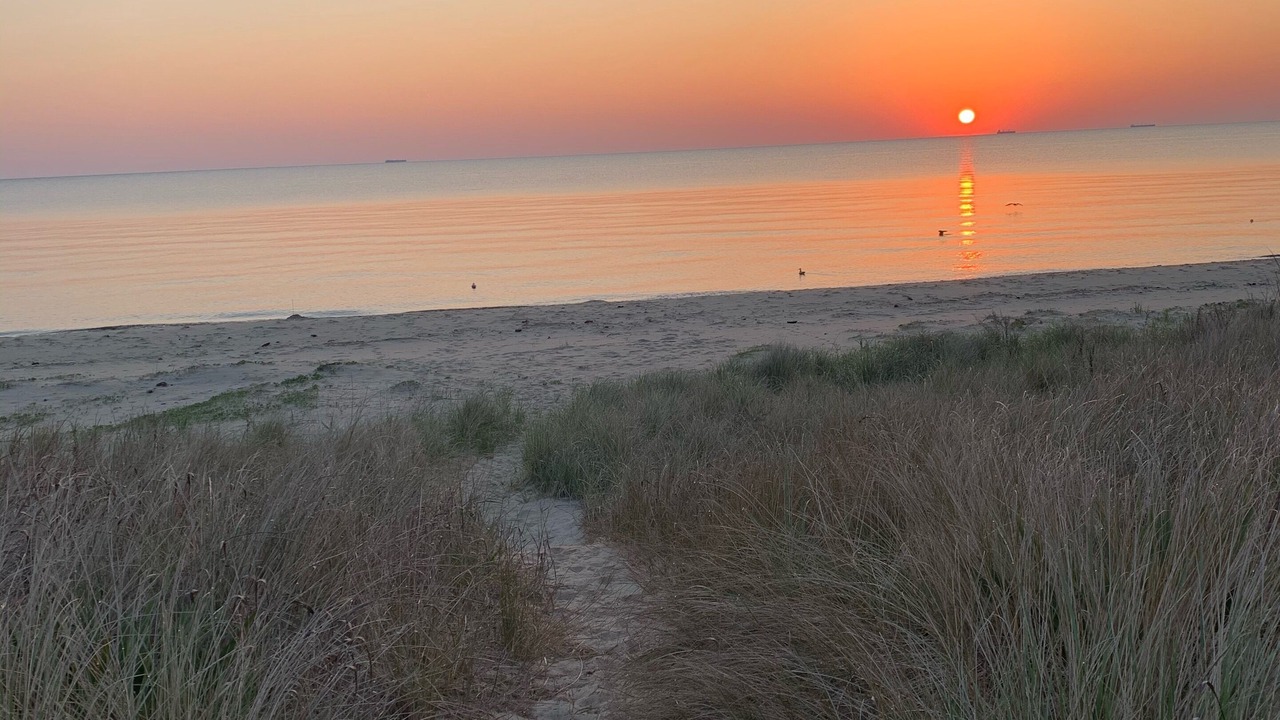 Photo of Others in Prime Hook Beach