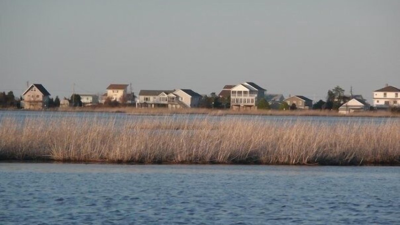 Photo of Others in Prime Hook Beach