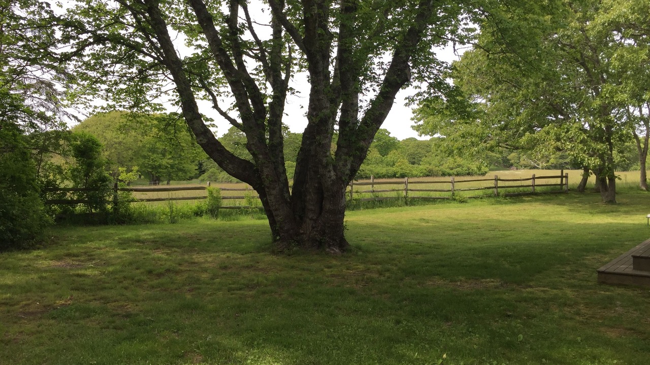 Photo of Others in Chilmark