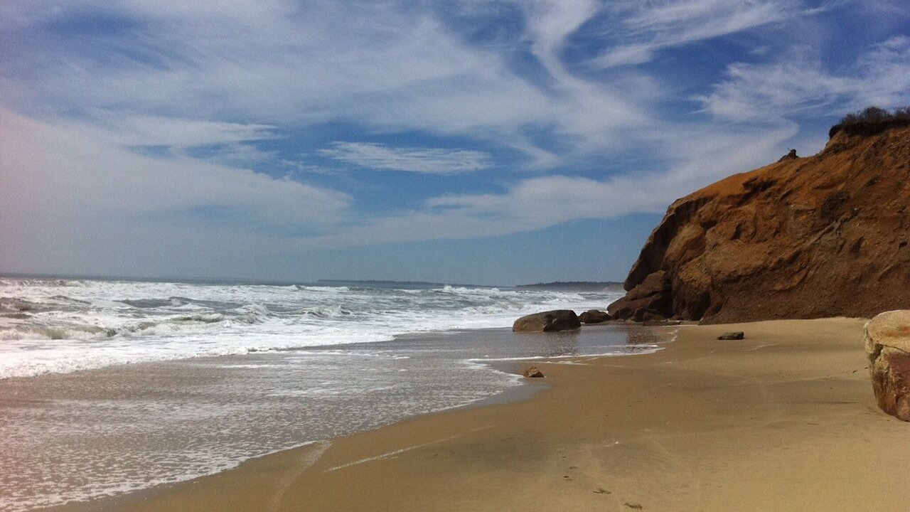 Photo of Others in Chilmark