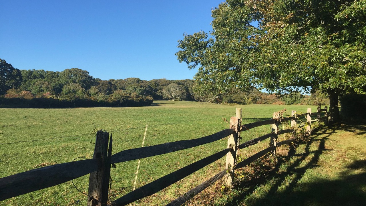 Photo of Others in Chilmark