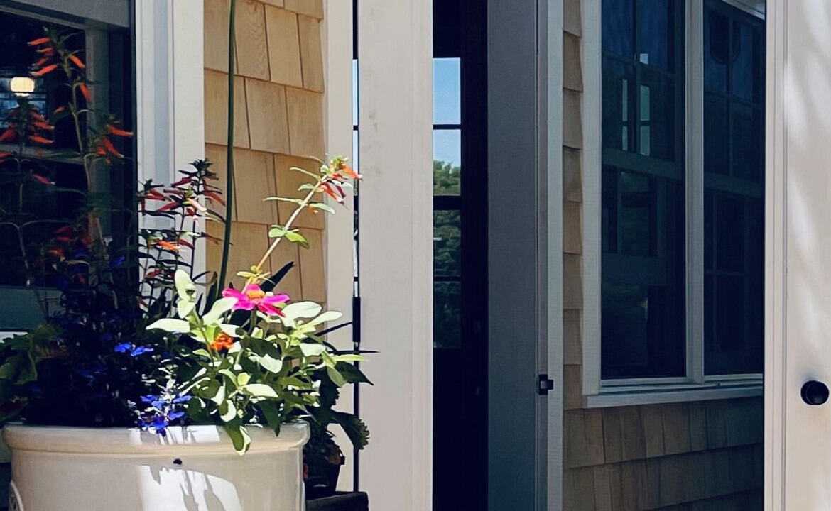 Photo of Others in Chilmark
