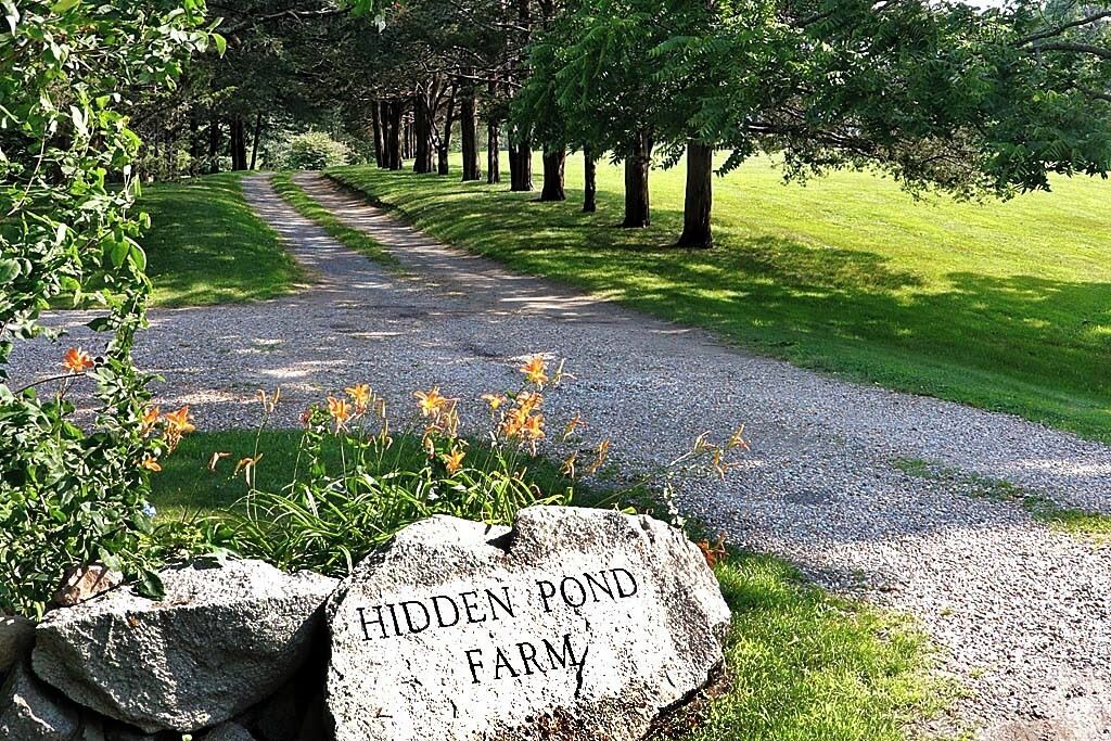 Photo of Others in Cummaquid