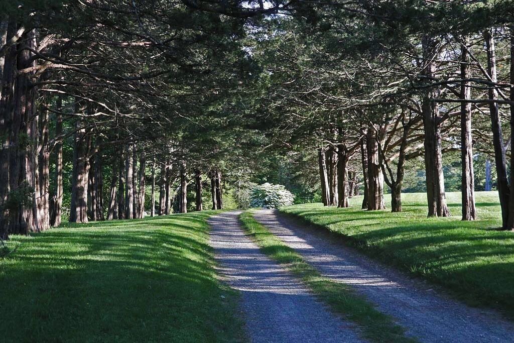 Photo of Others in Cummaquid