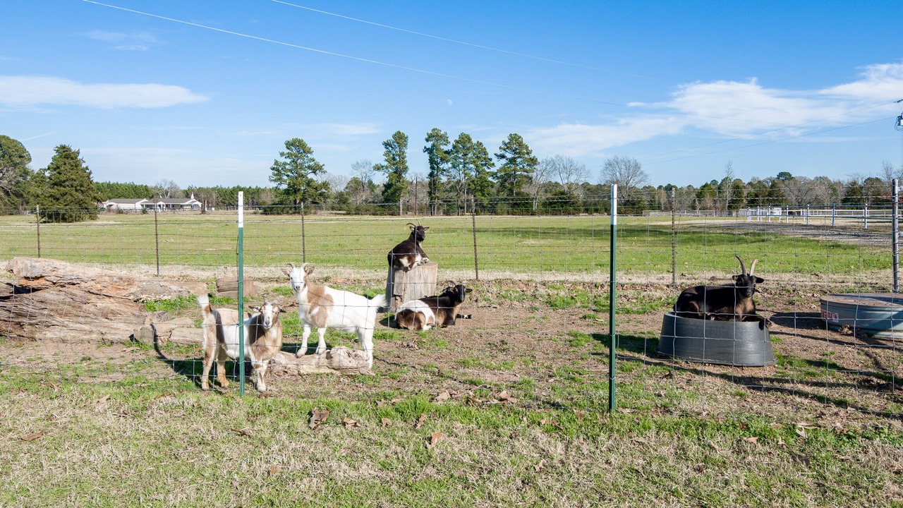 Photo of Outdoor in Keatchie