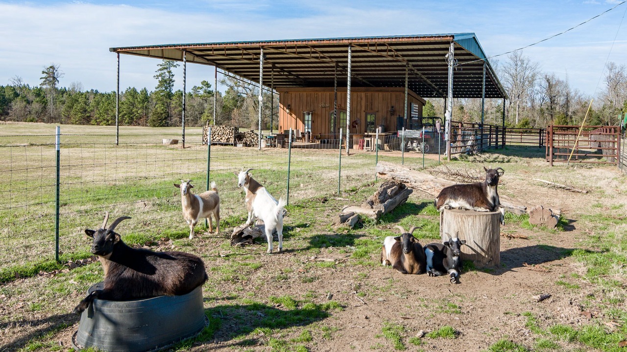 Photo of Others in Keatchie