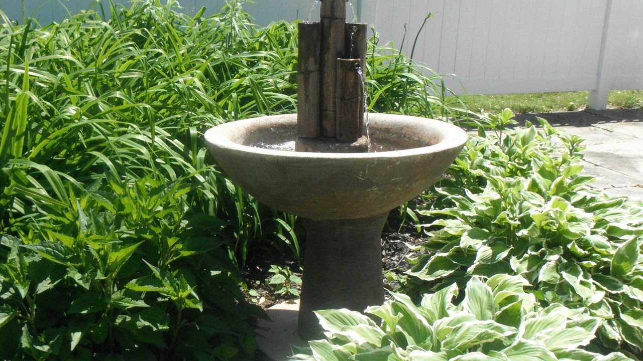 Photo of Outdoor in Burt