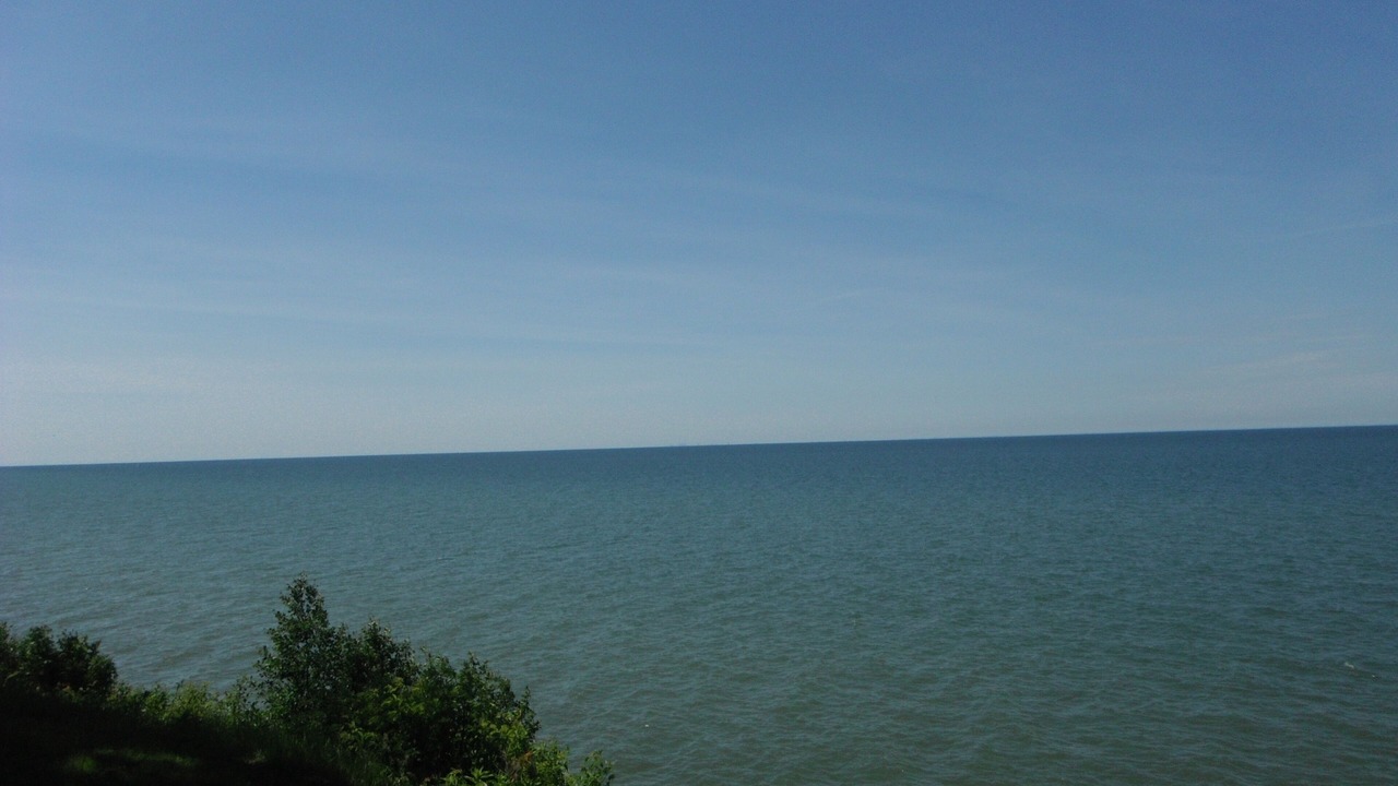 Photo of Others in Burt