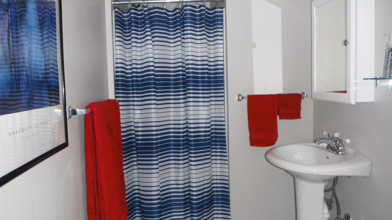 Photo of Bathroom in Burt