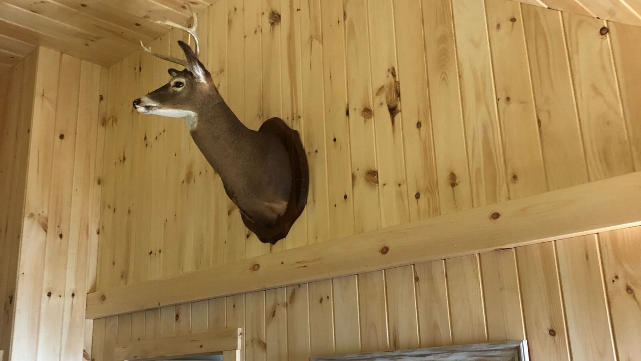 Photo of Others in Oxford