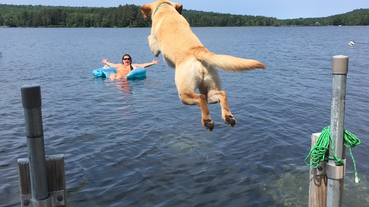 Photo of Others in Oxford