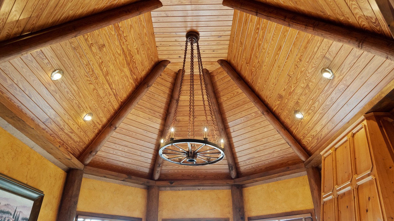 Photo of Others in Gainesville