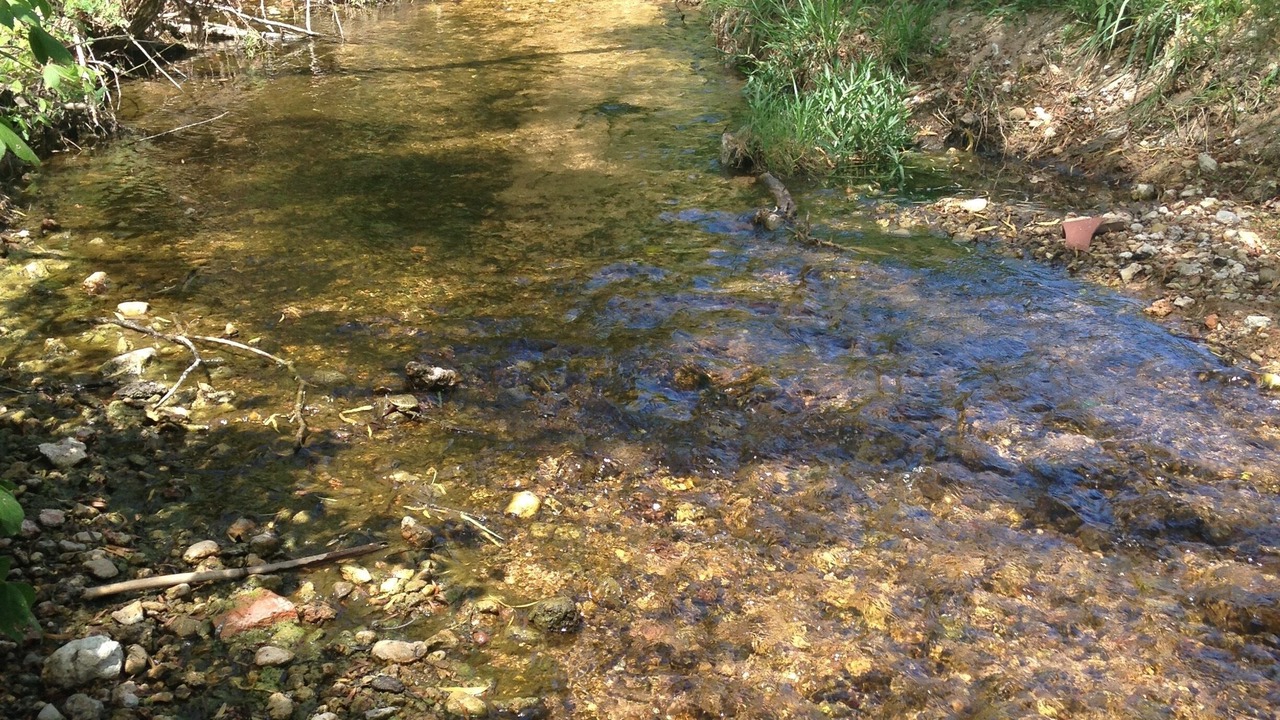 Photo of Others in Fredericksburg