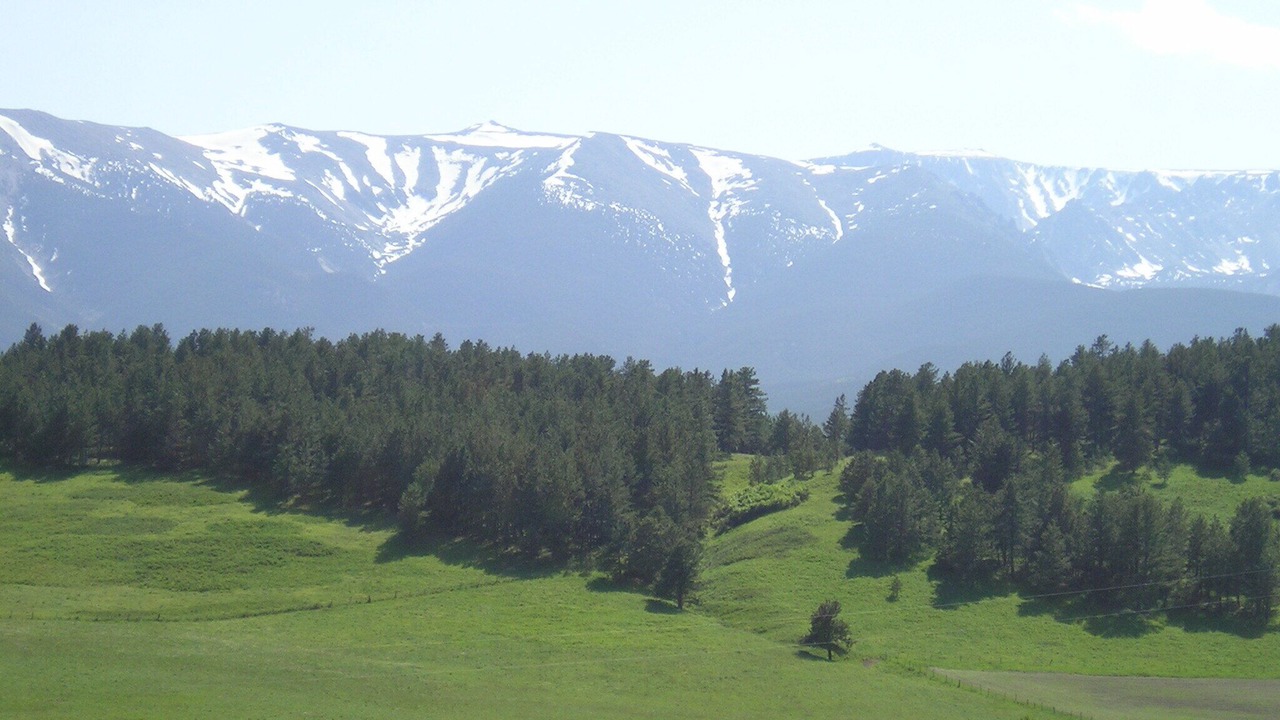Photo of Others in Fishtail