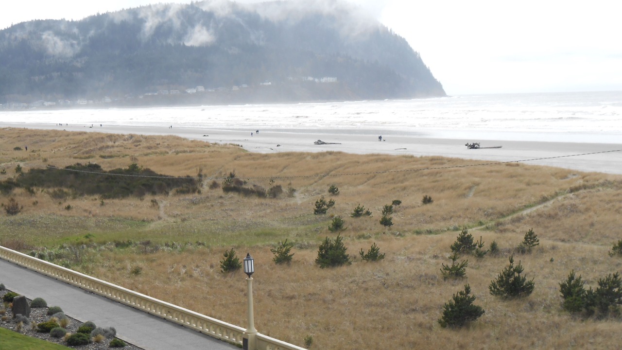 Photo of Others in Seaside