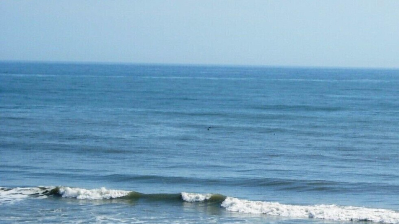 Photo of Others in Breakers