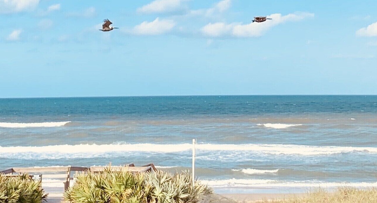 Photo of Others in Breakers