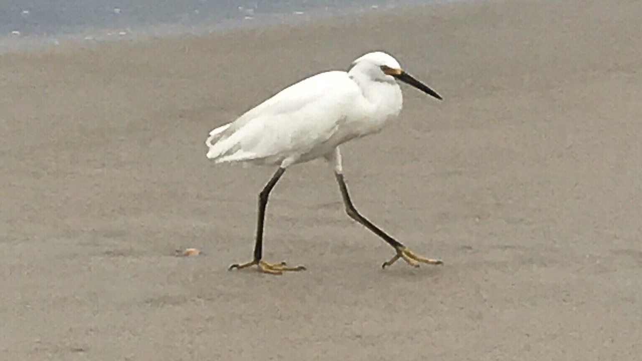 Photo of Others in Breakers