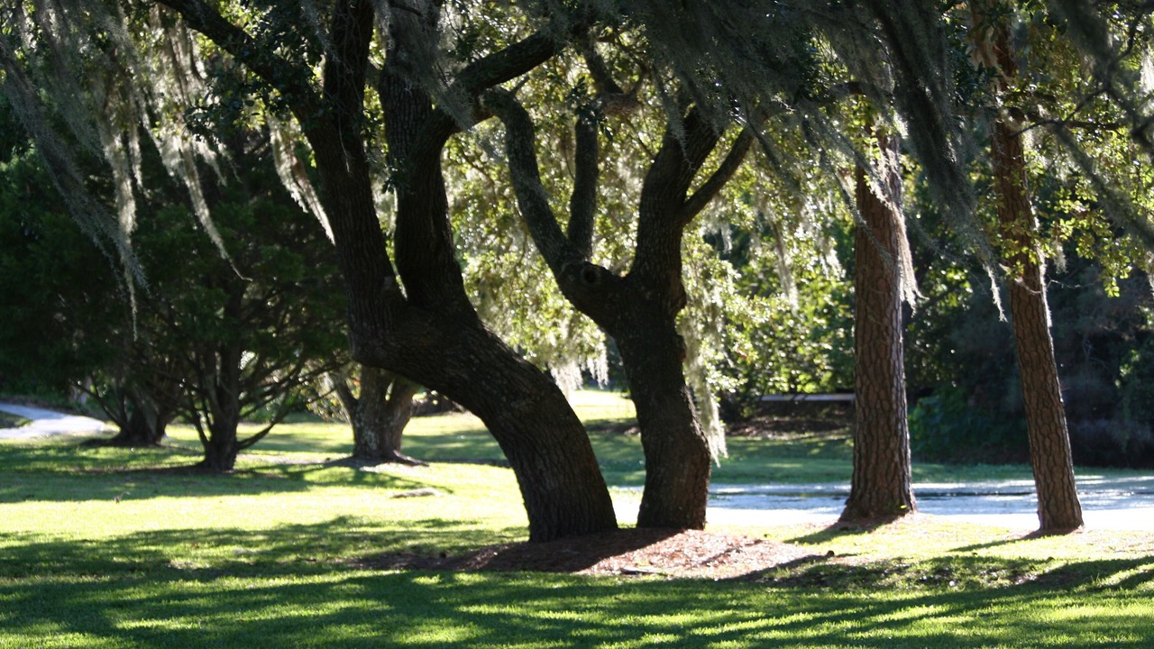 Photo of Others in Mount Pleasant