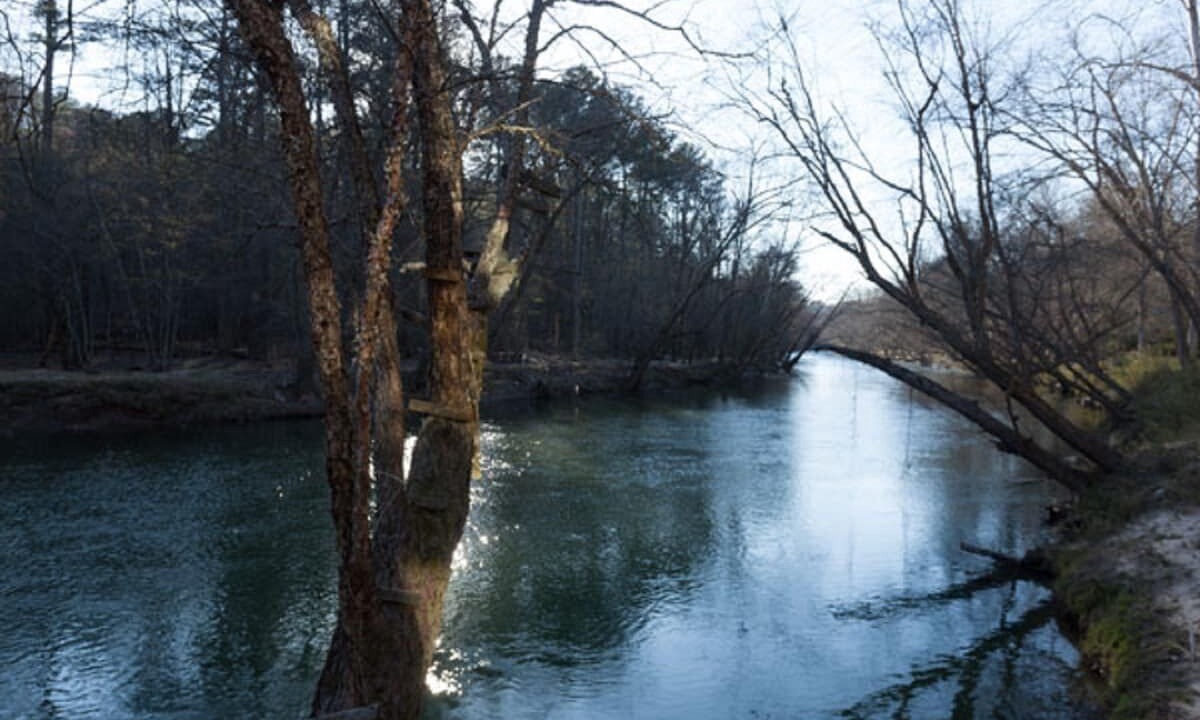 Photo of Others in Ellijay
