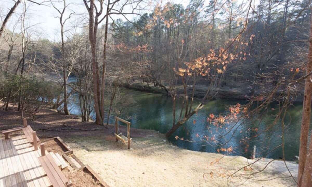 Photo of Others in Ellijay