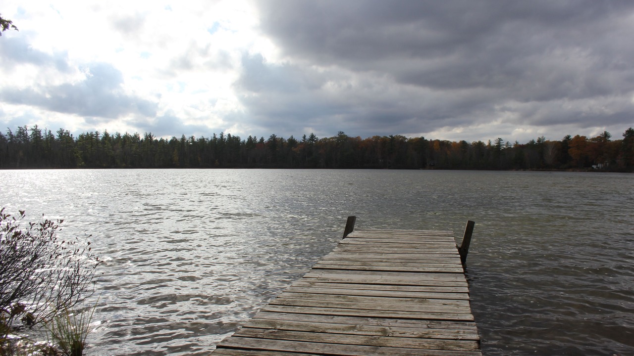 Photo of Others in Fife Lake