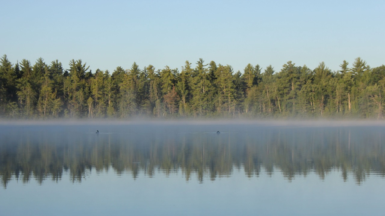 Photo of Outdoor in Fife Lake