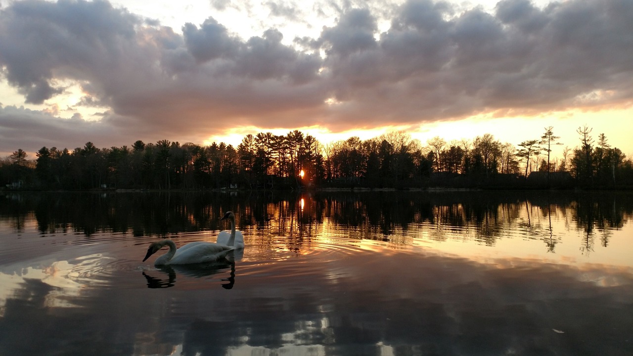 Photo of Outdoor in Fife Lake