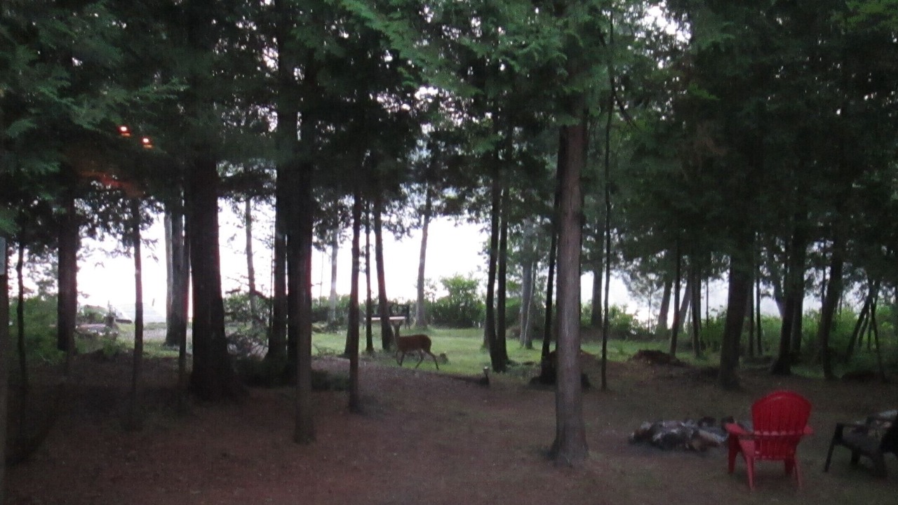 Photo of Outdoor in Fife Lake