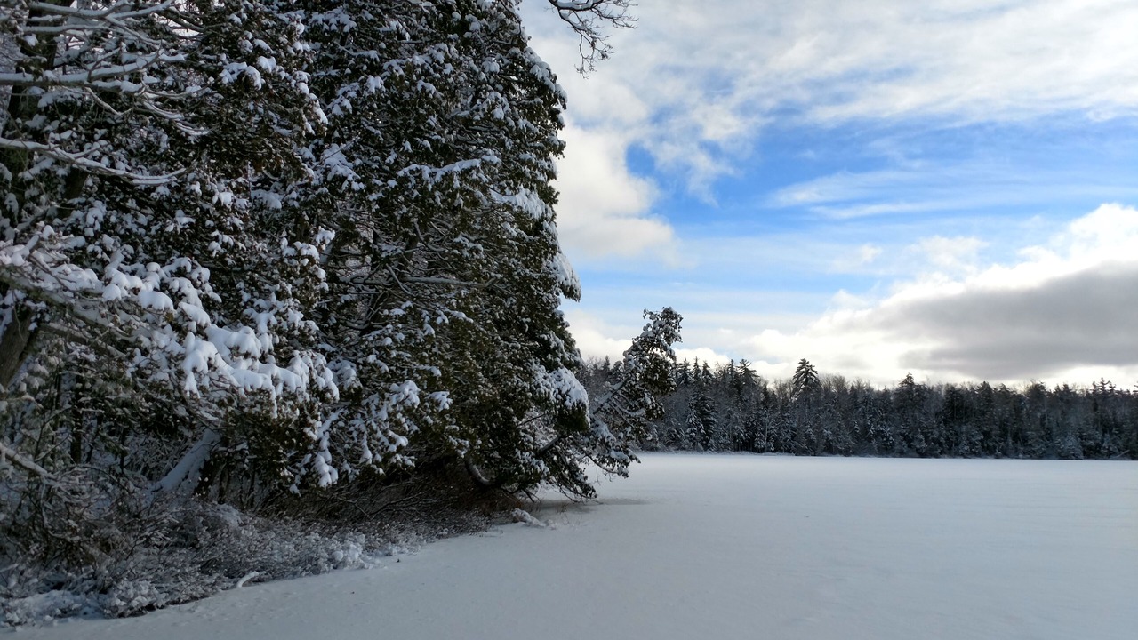 Photo of Outdoor in Fife Lake