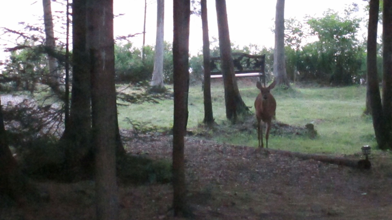 Photo of Others in Fife Lake