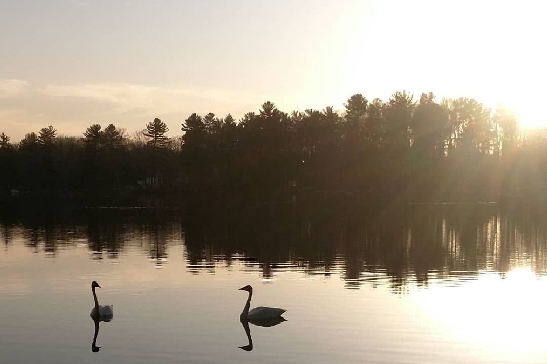 Photo of Outdoor in Fife Lake