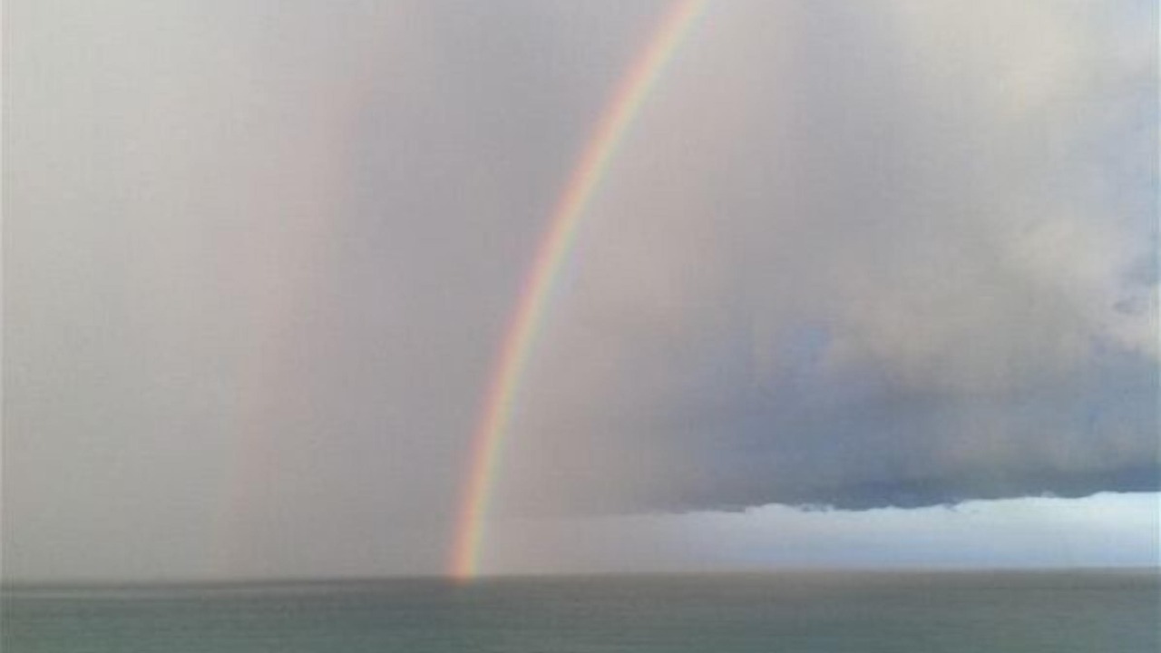 Photo of Others in Jupiter