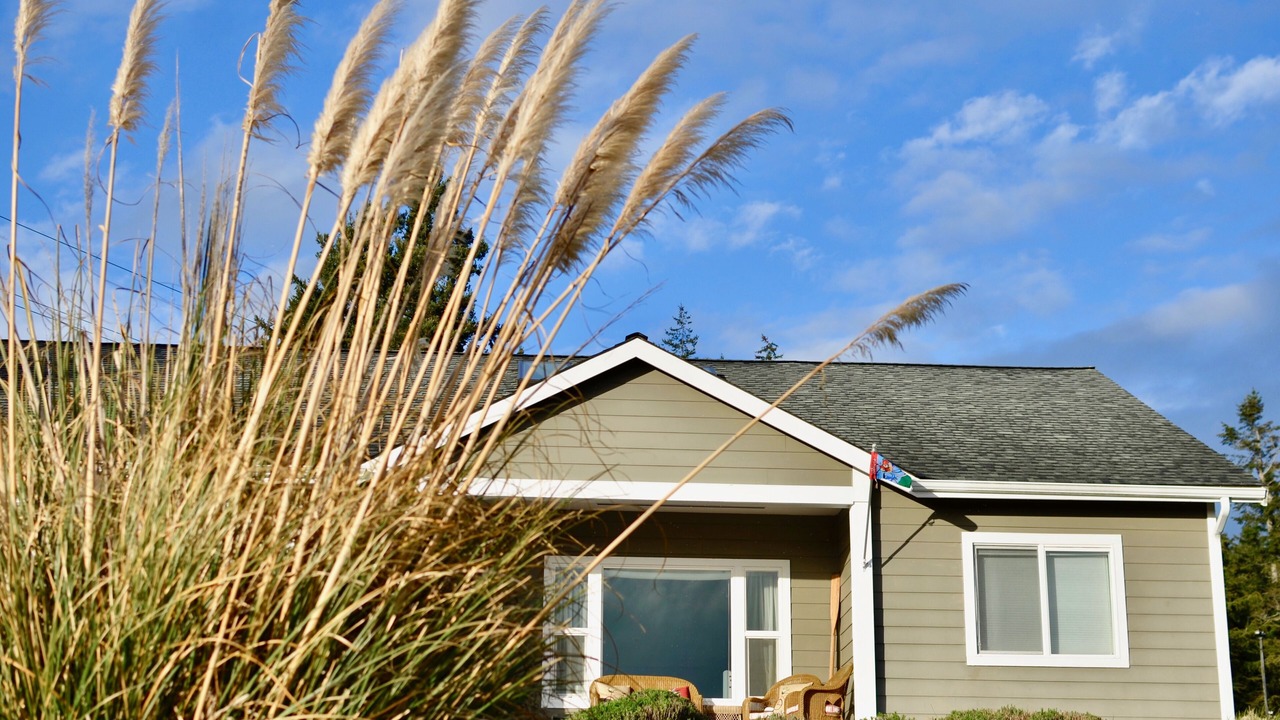 Photo of Outdoor in Coupeville