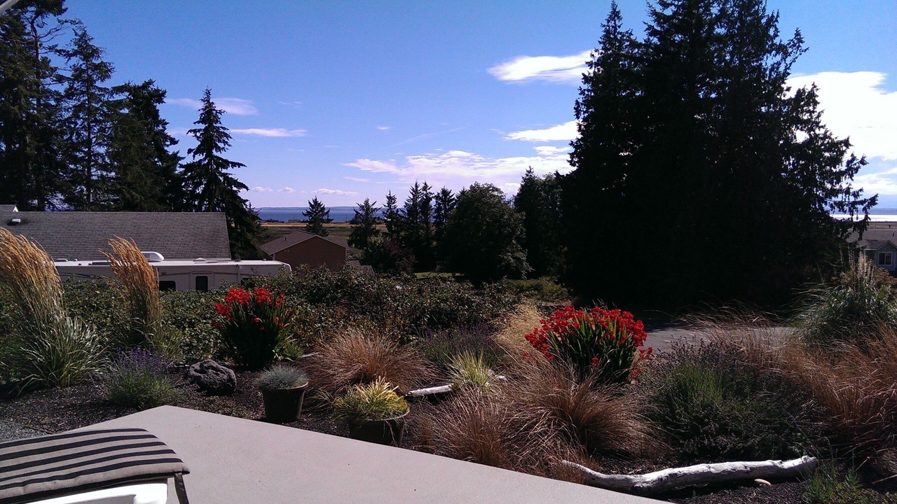Photo of Outdoor in Coupeville