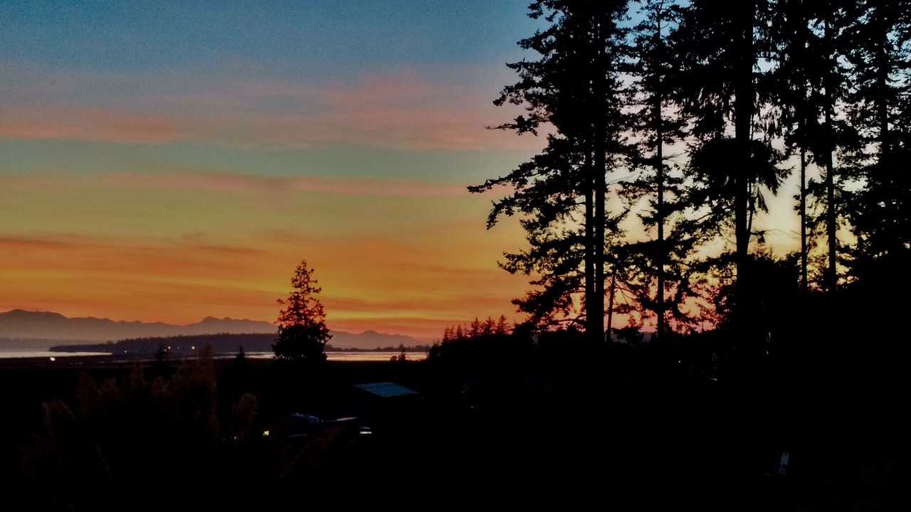 Photo of Outdoor in Coupeville