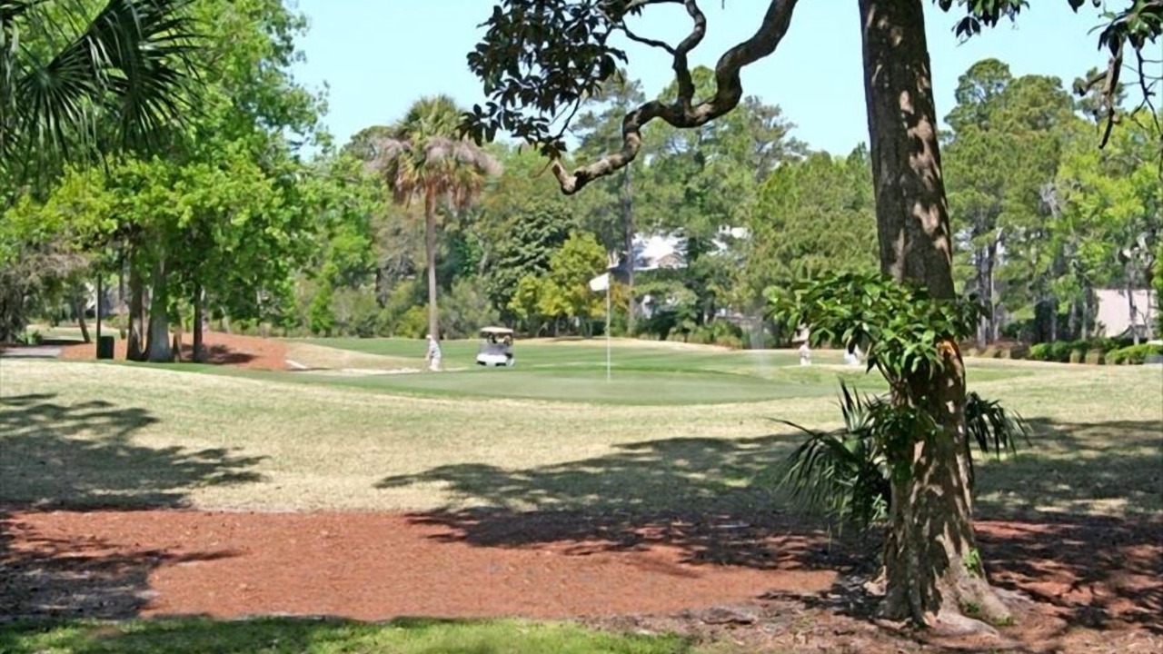 Photo of Others in Shipyard Plantation