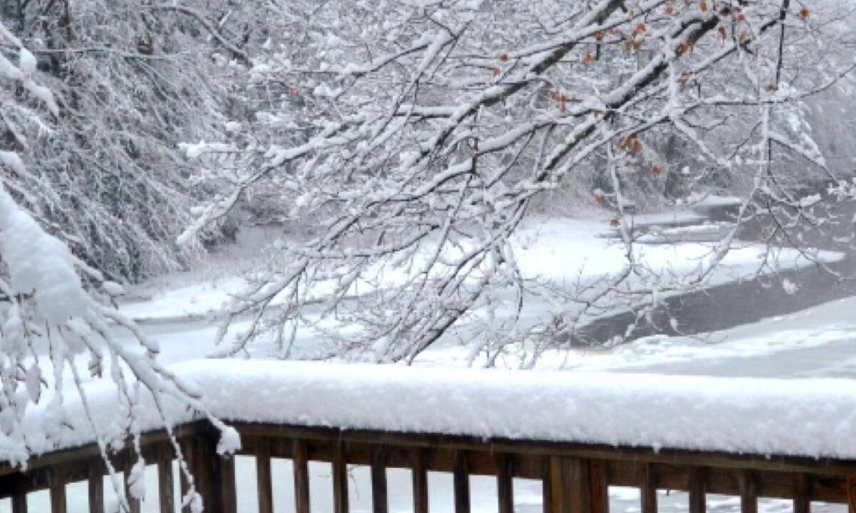 Photo of Outdoor in Elkins