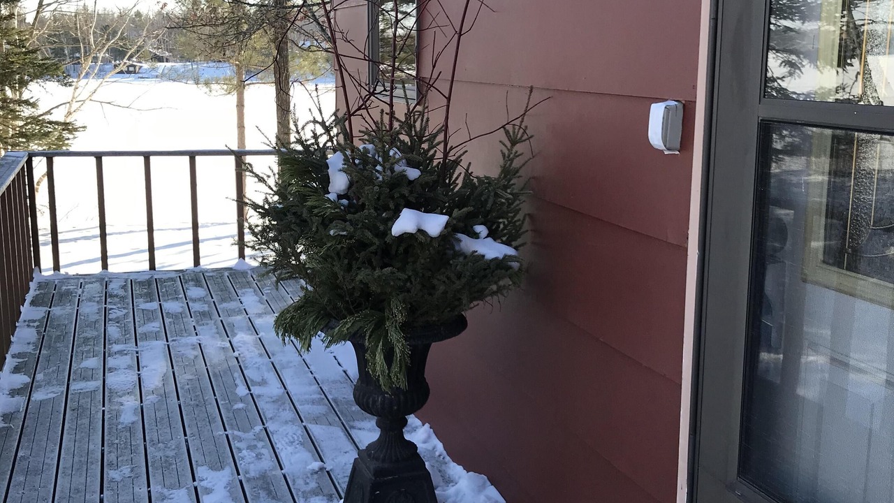Photo of Outdoor in Longville