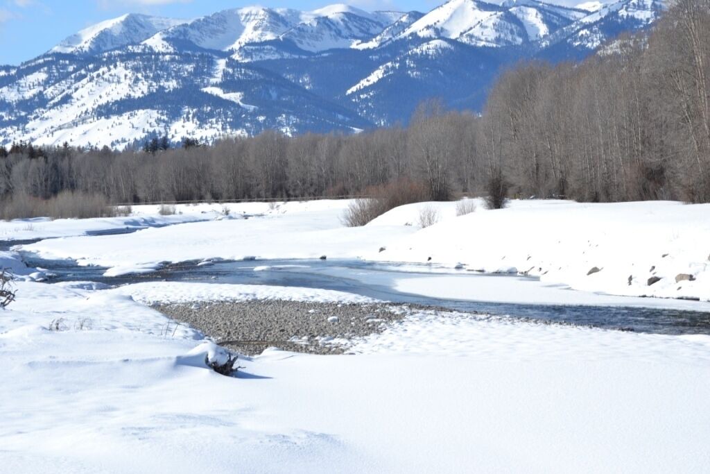 Photo of Others in Driggs