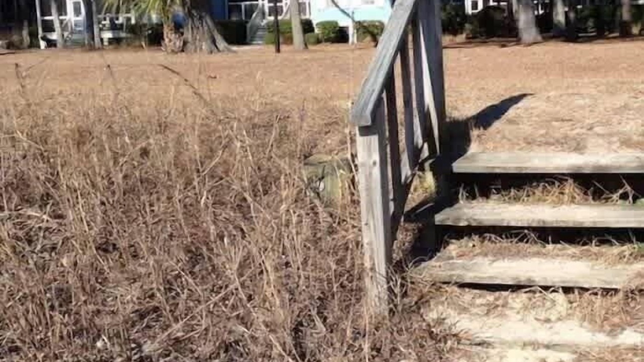 Photo of Outdoor in Melrose on the Beach