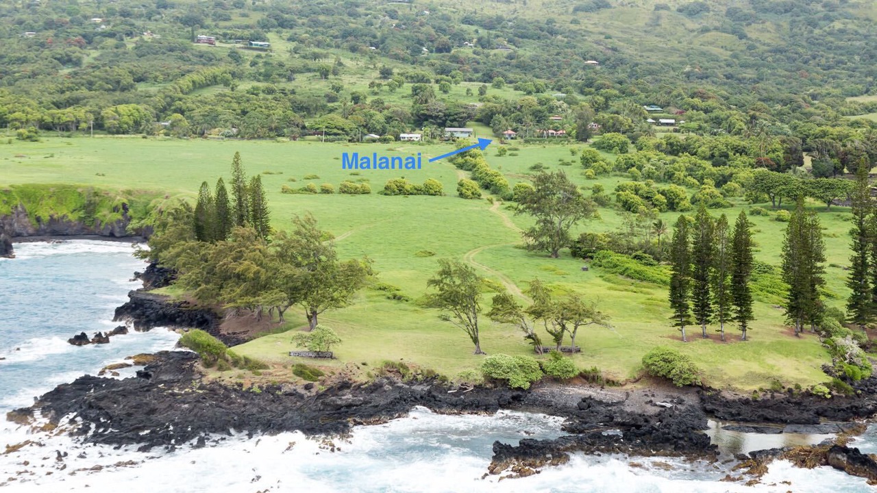 Photo of Others in Hana