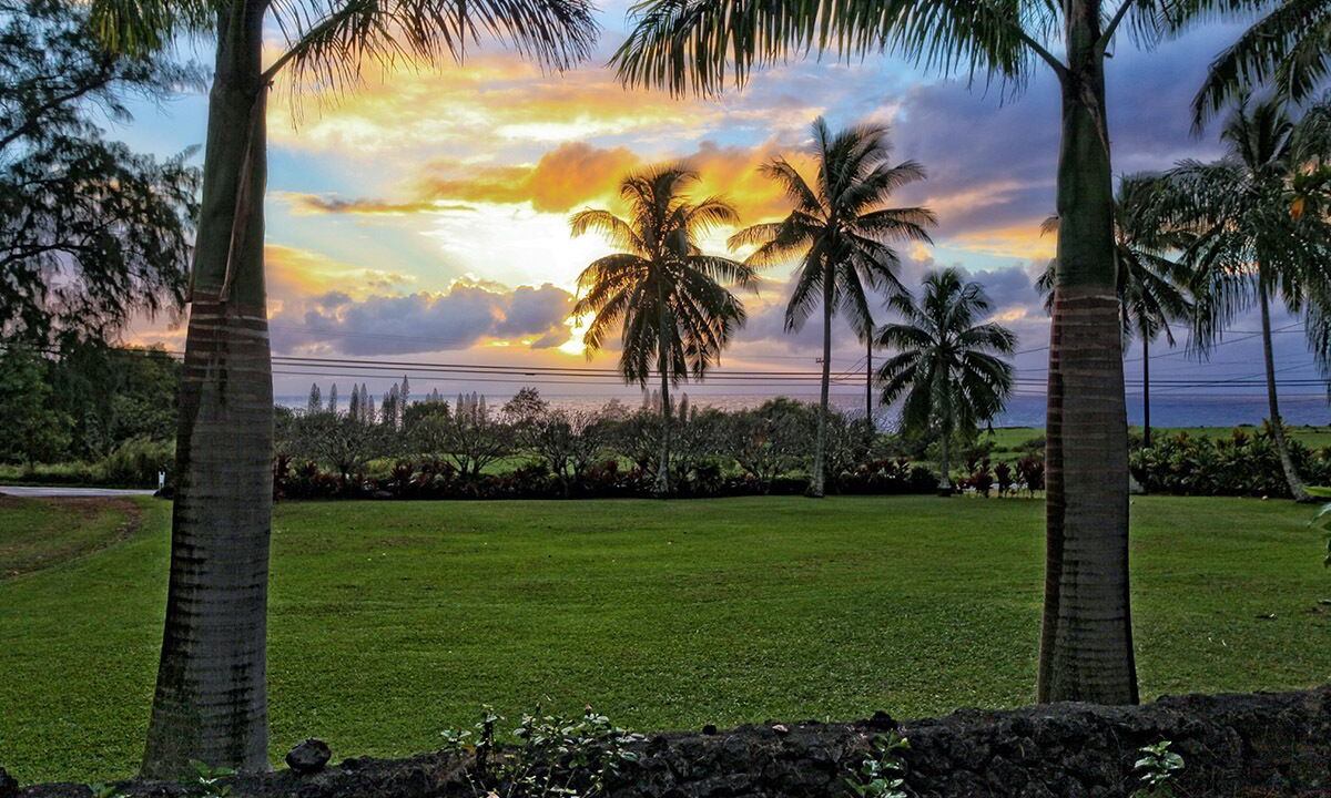 Photo of Others in Hana
