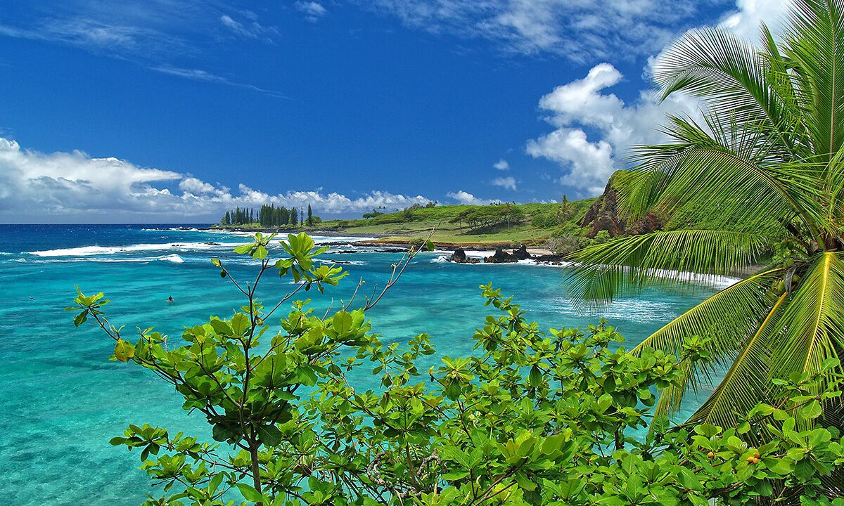 Photo of Others in Hana