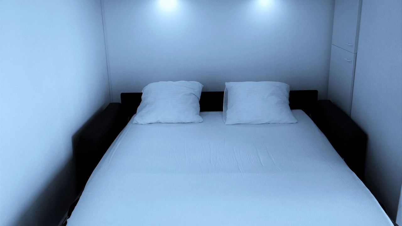 Photo of Bedroom in Grenelle