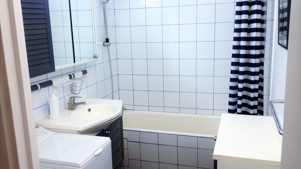 Photo of Bathroom in Grenelle