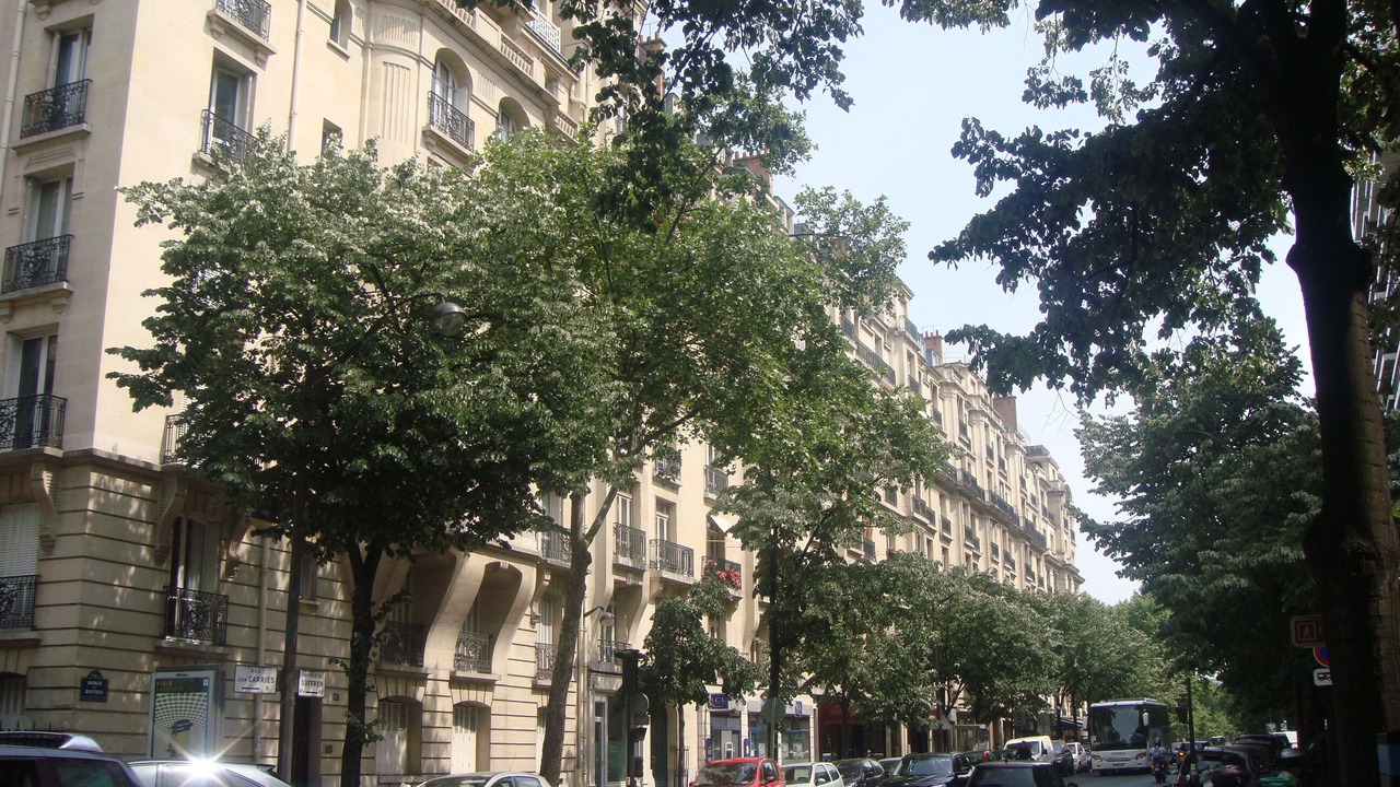 Photo of Others in Grenelle